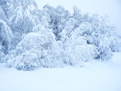 Turişti bucureşteni ajutaţi de jandarmii montani dâmboviţeni
